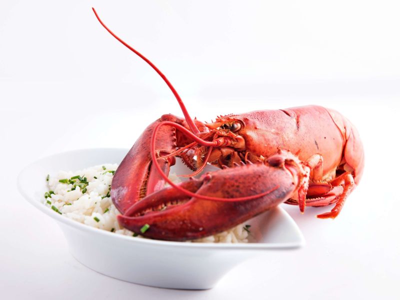 ornuizeke melle resto restaurant brasserie bart albrecht tablefever onlmine real time boeken reserveren reservatie